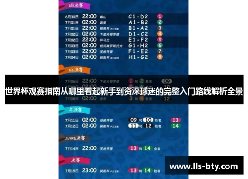 世界杯观赛指南从哪里看起新手到资深球迷的完整入门路线解析全景