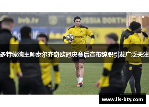 多特蒙德主帅泰尔齐奇欧冠决赛后宣布辞职引发广泛关注